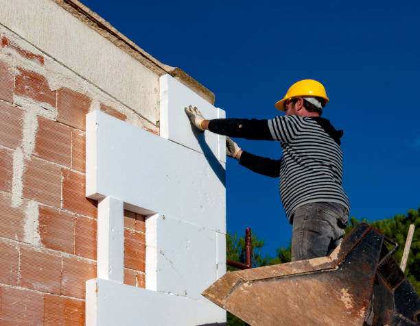 Best Eco-Friendly Insulation in Amboy, WA