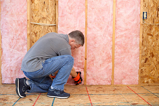 Best Cellulose Insulation in Amboy, WA